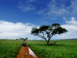 Serengeti National Park safari maatwerk reizen
