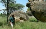 Wandel safari Tanzania 3