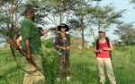 Wandel safari Tanzania 4